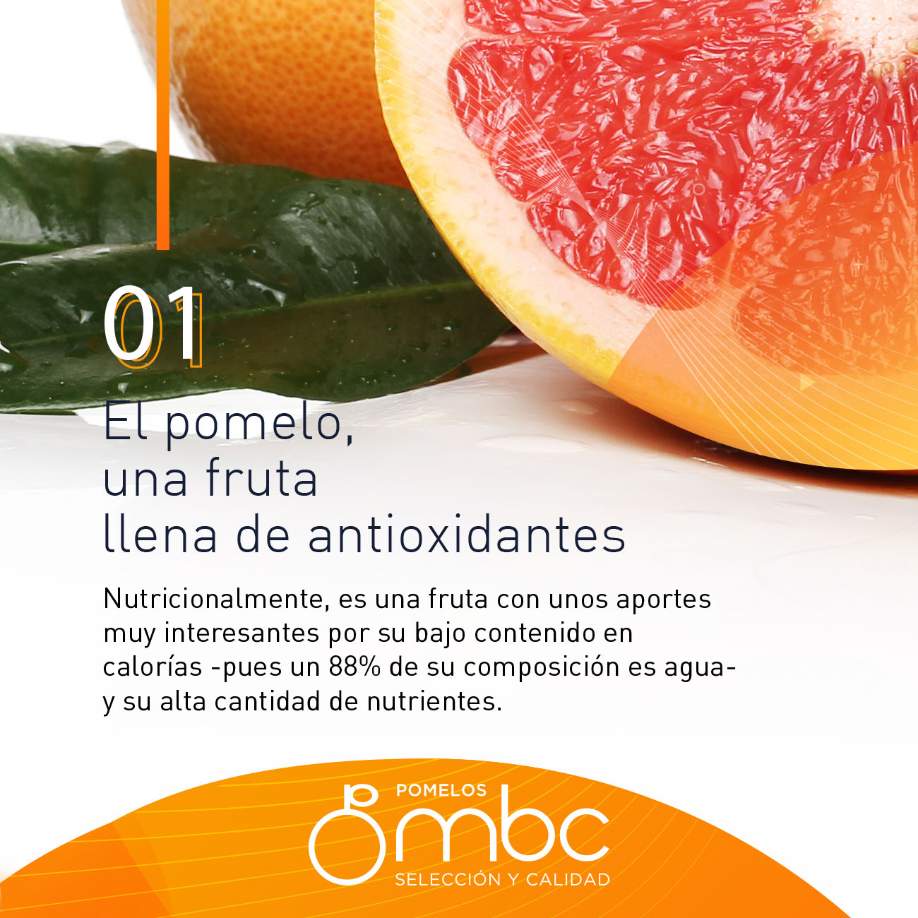 Noticia Pomelos MBC