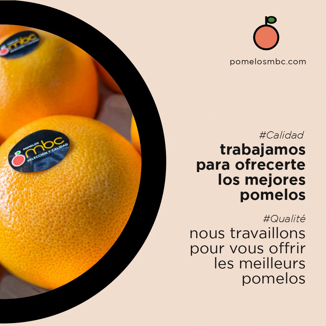 Noticia Pomelos MBC