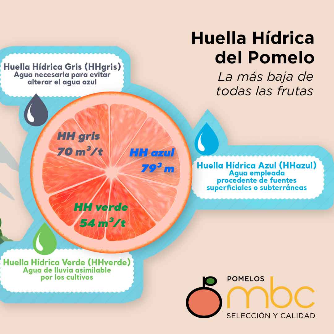 Noticia Pomelos MBC